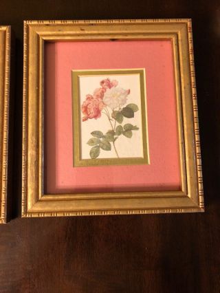 VINTAGE Homco? Gold Framed Pink Mat Rose Prints Set Of 2 Shabby Chic 8.  5”x7.  5” 4