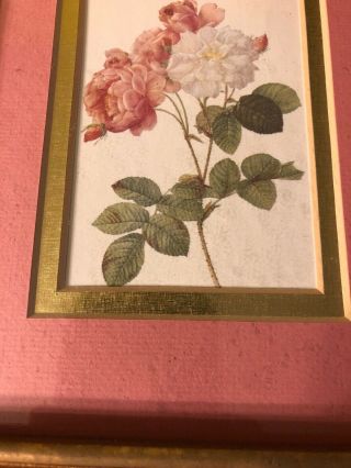 VINTAGE Homco? Gold Framed Pink Mat Rose Prints Set Of 2 Shabby Chic 8.  5”x7.  5” 5
