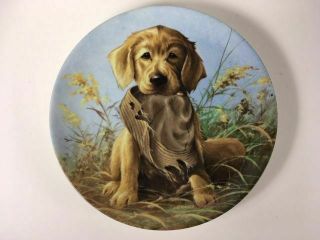 Vintage 1987 Knowles " Caught In The Act - The Golden Retriever Decorative Plate