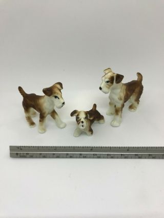 Vintage Miniature Terrier Dog Porcelain Family Trio,  Papa/mama/pup