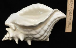 Conch Seashell Planter Pot White Ceramic 10 " X 6 " Sea Shell Vintage