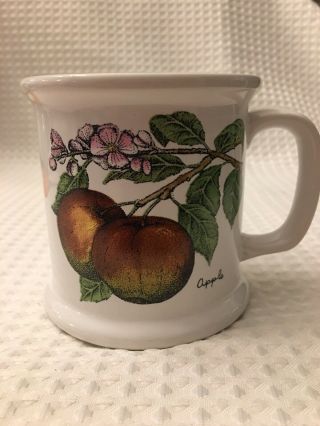 Lauffer By Gailstyn - Sutton Apple Cider Mug Cup Story Of Apple Cider Vgc