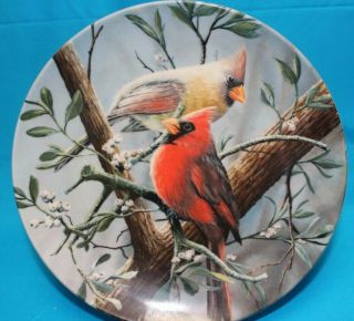 Lt.  Ed.  Edwin Knowles Birds Of Your Garden Plate The Cardinal,  Kevin Daniel