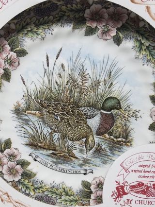 Heritage Churchill Collector Plate Wildlife Mallard Anas Platyrhynchos NRFB 2