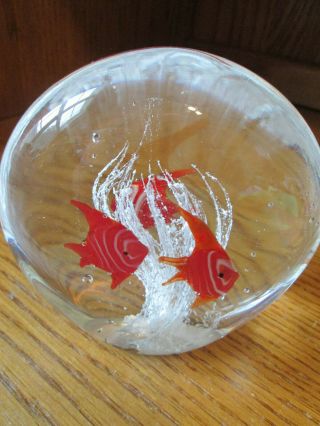 Art Glass Fish Aquarium Scene Paperweight - Red With White 3 7/8 " Tall 4 " Wide