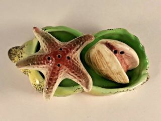 Clam Starfish In Shell Vintage Salt And Pepper Shakers Beach Ocean 6