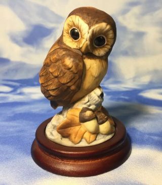 Adorable Andrea By Sadek Baby " Owl " Porcelain Bird Figurine 6350 W/ Base Evc