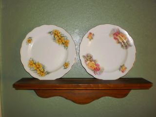 Royal Kent,  (staffordshire),  Set Of 2 Vintage 8 " Floral Salad Plates W/plate Shelf