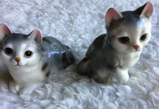 White Gray Cats Kitten Salt And Pepper Shakers