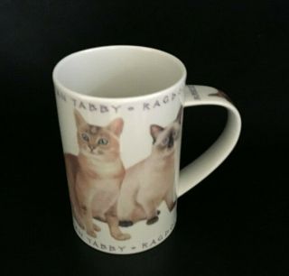 Vintage Dunoon Cats Stoneware Coffee Mug Cup Made In Scotland 4 1/4 " X 3 "