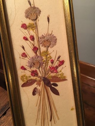 Vtg Wood Gold - Painted Frame Botanical Pressed Dried Flowers Switzerland