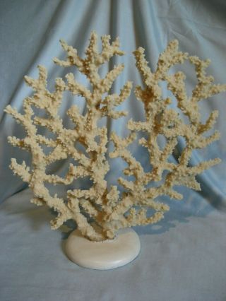 Vtg.  Three Hands Corp.  Decorative Resin Coral Sculpture Home Decor Cream/ White