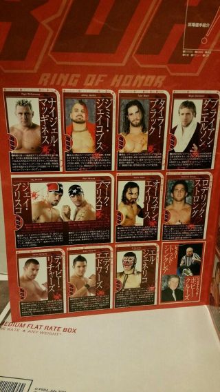 Ring Of Honor In Japan Collector ' s Poster,  NOAH,  Dragon Gate 2