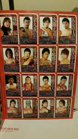 Ring Of Honor In Japan Collector ' s Poster,  NOAH,  Dragon Gate 3