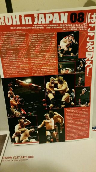 Ring Of Honor In Japan Collector ' s Poster,  NOAH,  Dragon Gate 4