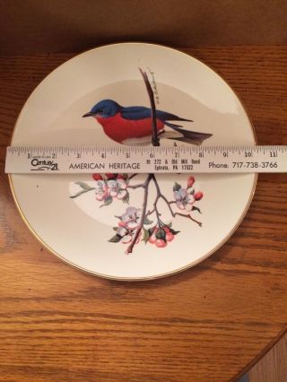 Vintage 1974 Avon North American Songbird Plate - By Don Eckelberry Bluebird