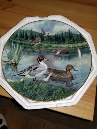 1986 The Pintail By Bart Jerner Second Issue Limited Ed.  Collectible Duck Plate