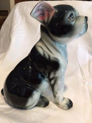 Vintage Large Glossy Ceramic Boston Terrier Made In Japan By Chase