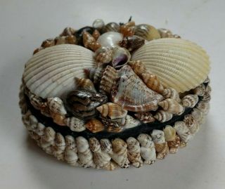 Vintage Shell Art Trinket Box Mid - Century Felt Lined 1.  5t 4l 3w Seashell Beach