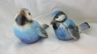 2 Vintage Goebel West Germany Baby Blue Birds Fledglings Cv72 & Cv74 Pair
