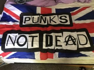 Punks Not Dead Flag 3 