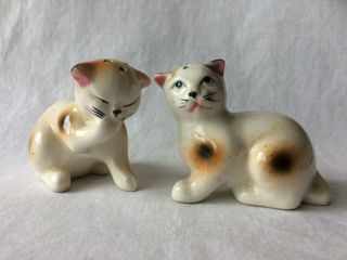 Vintage Set Ceramic Cat Salt And Pepper Shakers White And Brown