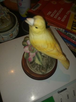 Vintage Andrea by Sadek Yellow Canary Figurine 8627 Ceramic Porcelain wood base 5