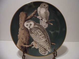 John James Audubon Plate Snowy Owl Limited Edition Gorham Fine China Gold Trim