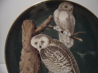 John James Audubon Plate Snowy Owl Limited Edition Gorham Fine China GOLD TRIM 2