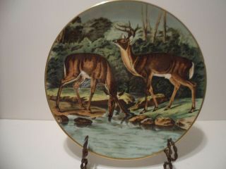 John James Audubon Plate Virginia Deer Limited Edition Gorham Fine China