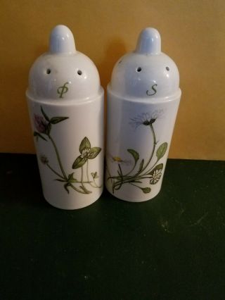 Ceramic Salt And Pepper Shakers Set With Floral Design 267