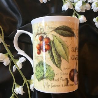 Rose Of England Coffee Mug / Tea Cup Fine Bone China Summer Garden 16oz