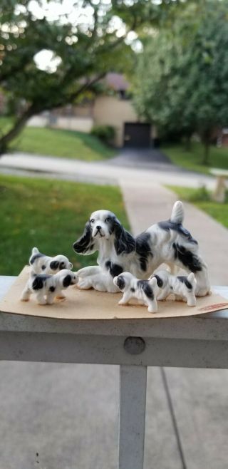 Vintage 5 Pc Coker Dog Family Miniature Figurines Bone China Japan
