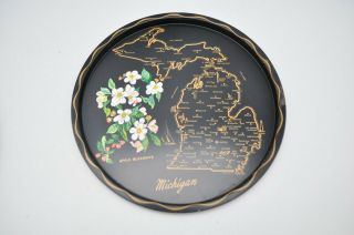 Vintage Nashco Michigan State Souvenir Hand Painted Platter Plate Serving Wall