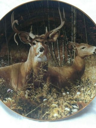 Danbury - Deer Plate - Bob Travers - Pride Of The Wilderness - Fall Retreat