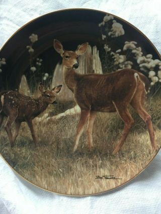 Danbury - Deer Plate - Bob Travers - Pride Of The Wilderness - Watchful Doe