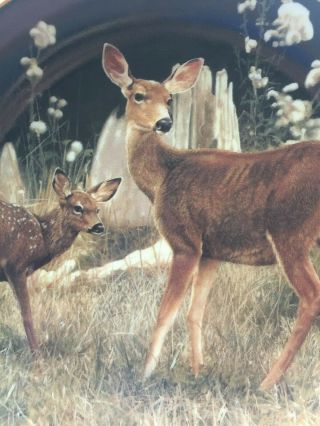 Danbury - Deer Plate - Bob Travers - Pride of the Wilderness - Watchful Doe 2