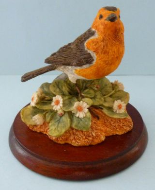 Border Fine Arts Robin With Daisis Garden Bird Figurine Ornament Ayres Rb43 1994