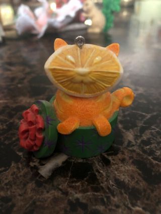 Enesco Home Grown Orange Cat Figurine Ornament