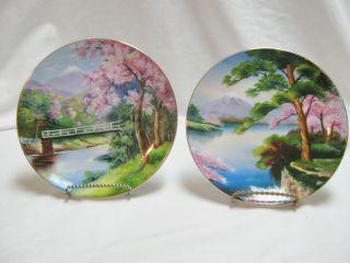 2 Hand Painted Lily China Made In Japan Decorative Collectible Plates