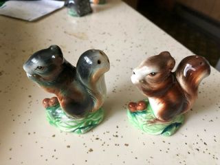 Vintage Two Squirrels Salt And Pepper Shakers From Japan