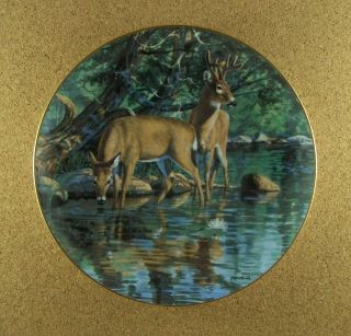 Friends Of The Forest Velvet Reflections Deer Plate Bruce Miller Buck Danbury