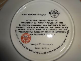 Vintage Knowles Norman Rockwell Somebody ' s Up There Collector Plate 1979 2