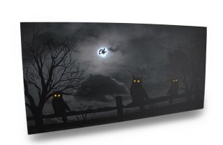 Scratch & Dent Spooky Black And White Owls Led Lighted Canvas Print Wall Hanging