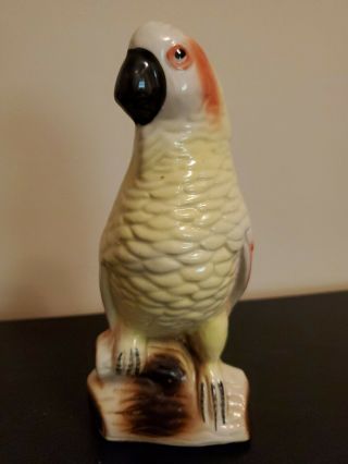 Vintage Ceramic Parrot Figurine,  Tropical Bird,  50s,  60s,  Made In Brazil