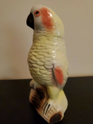 Vintage Ceramic Parrot Figurine,  Tropical Bird,  50s,  60s,  Made In Brazil 2