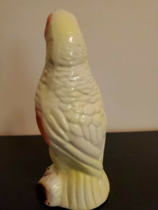 Vintage Ceramic Parrot Figurine,  Tropical Bird,  50s,  60s,  Made In Brazil 3