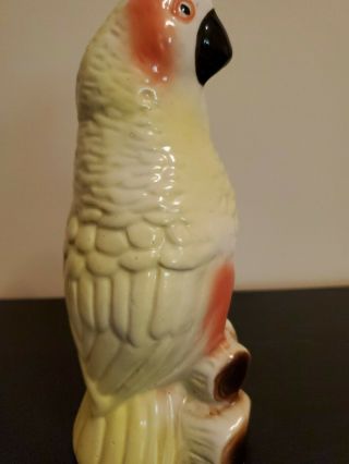 Vintage Ceramic Parrot Figurine,  Tropical Bird,  50s,  60s,  Made In Brazil 4