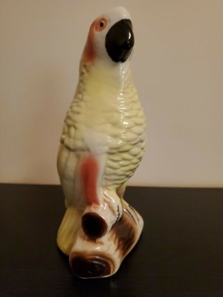 Vintage Ceramic Parrot Figurine,  Tropical Bird,  50s,  60s,  Made In Brazil 5