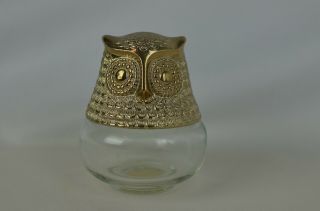 Vintage Avon Empty Perfume Bottle Glass With Plastic Owl Top